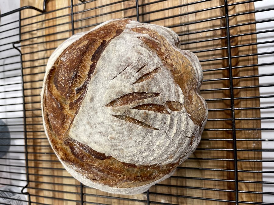 Crusty sourdough boule on a cooling rack